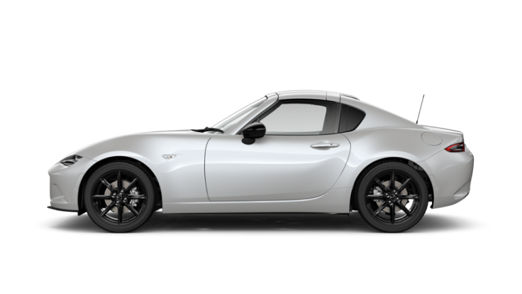 Snowflake White Pearl Mica (AT)